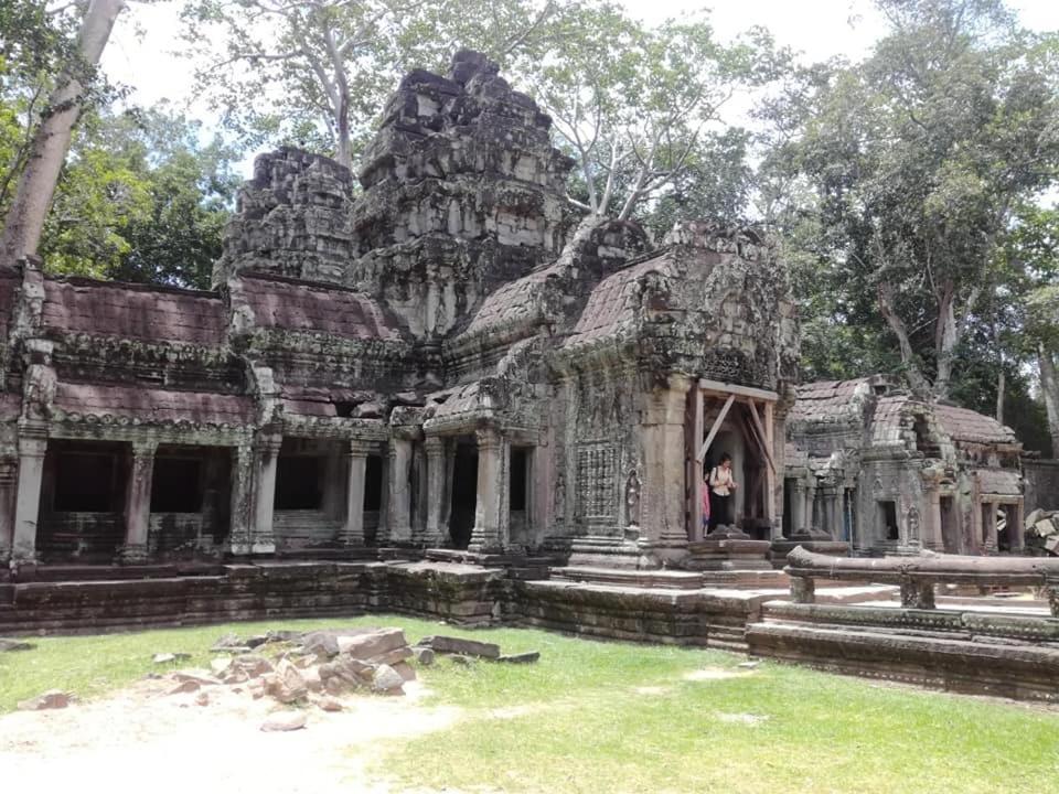 Angkor Magic Tree Boutique Hotel Siem Reap Exterior photo